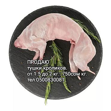 кг клубники цена: Продаю тушки кролика. от 1.5 до 2 кг. 750 сом. кг. под — 1
