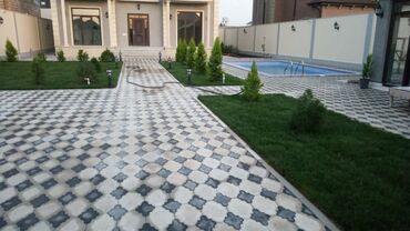 Toxumlar: Qazon sifarişi qəbul olunur yüksək keyfiyyətli danimarka toxumu ilə -da lalafo.az — 9 Toxumlar: Qazon sifarişi qəbul olunur yüksək keyfiyyətli danimarka toxumu ilə — 9