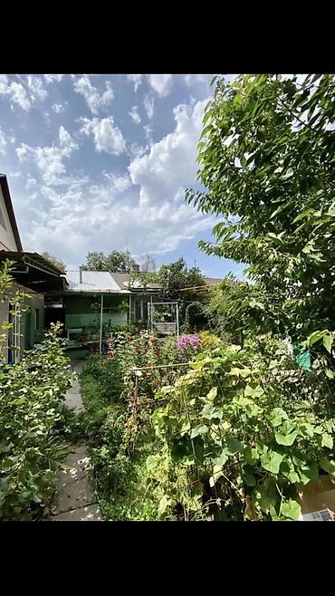 Долгосрочная аренда домов: 10 м², 3 комнаты, Утепленный, Забор, огорожен at lalafo.kg — 4 Долгосрочная аренда домов: 10 м², 3 комнаты, Утепленный, Забор, огорожен — 4