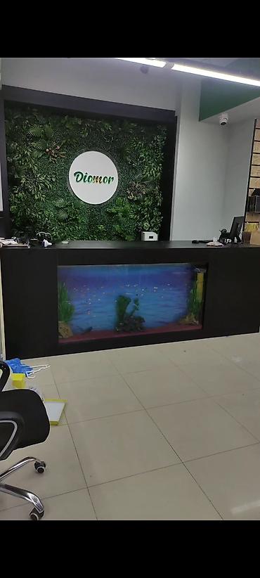 aqvarium: Akvarium-şkaf, Balıqlarla birlikdə, 1000000 l, Rayonlara çatdırılma, Ünvandan götürmə, Pulsuz çatdırılma — 6