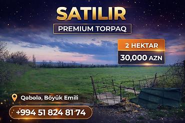 Torpaq sahələrinin satışı: 200 sot, Kənd təsərrüfatı — 1