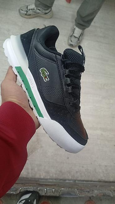 42 43: Мужские кроссовки, 41, 42, 43, Lacoste, Новый, Бесплатная доставка — 2