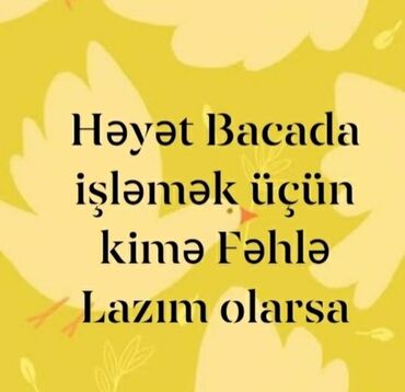 iş elanları 2023 tap az: Fəhlə tələb olunur, 3-5 illik təcrübə, 1/1, Gündəlik ödəniş lalafo.az -da iş elanları 2023 tap az: Fəhlə tələb olunur, 3-5 illik təcrübə, 1/1, Gündəlik ödəniş