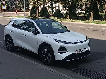 palisade 2025: Aixam : 2026 г., 0.1 л, Автомат, Электромобиль, Кроссовер — 2