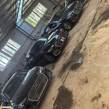 Ноускат, хафкат: Audi — 11