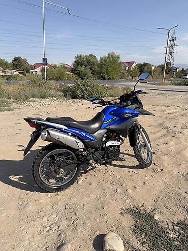 es 250: Эндуро 250 куб. см, Бензин, Взрослый, Б/у — 2