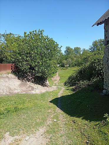 Torpaq sahələrinin satışı: 38 sot, Mülkiyyətçi, Kupça (Çıxarış) — 13