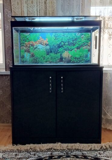 45 kv: Ümumi həcmi 170 litr olan gözəl akvarium satılır.Alt şkafı ilə