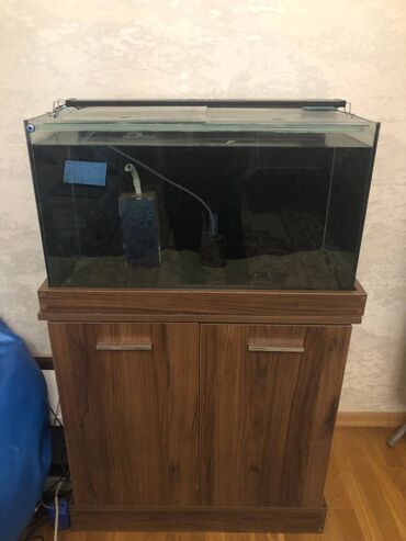 akvarium qiymətləri: Dördbucaq akvarium, Boş, 120 l, Ünvandan götürmə