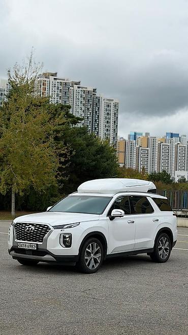 сопротивление: Hyundai Palisade: 2021 г. — 5
