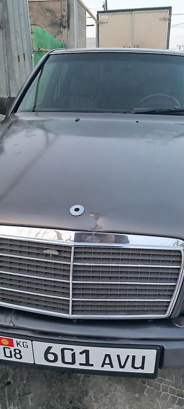 Mercedes-Benz: Mercedes-Benz W124: 1995 г., 2.9 л, Автомат, Дизель, Седан — 7