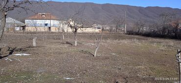 mingəcevir torpaq: 11 sot, Kənd təsərrüfatı, Mülkiyyətçi, Kupça (Çıxarış)