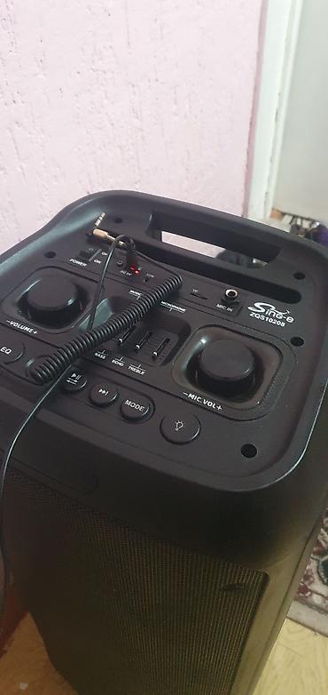 мини диктофон: Портативная акустическая система Sing-e ZQS10208 - Формат: напольная — 1