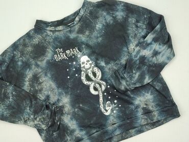 Mężczyźni: Bluza dla mężczyzn, S, Harry Potter, stan - Bardzo dobry