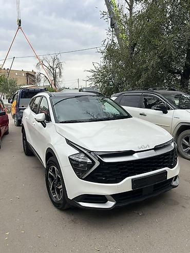 спортейдж 2020: Kia Sportage: 2022 г., 1.6 л, Автомат, Бензин, Кроссовер — 2