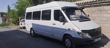 transporter multivan: Mercedes-Benz Спринтер: 2001 г., 2.9 л, Бус — 3
