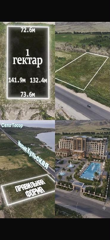 Жер тилкелери: 100 соток, Бизнес үчүн, Кызыл китеп — 1