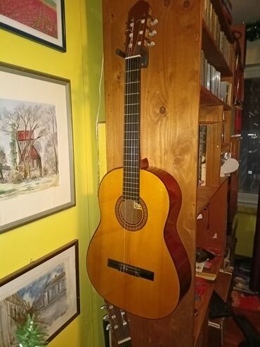Gitare: Castillo classical guitar model cg365 — 10