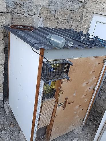 qus yuvasi duzeltmek: Quşxana/kümes satılır - Material: taxta karkas, ön tərəf kontrplak — 2