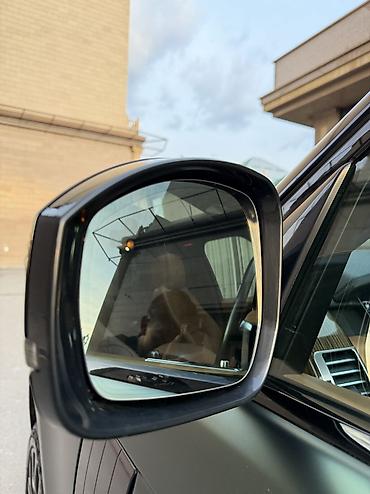 Land Rover: Land Rover Range Rover: 2019 г., 4.4 л, Автомат, Дизель, Внедорожник — 14