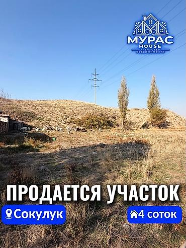 участо: 4 соток — 1