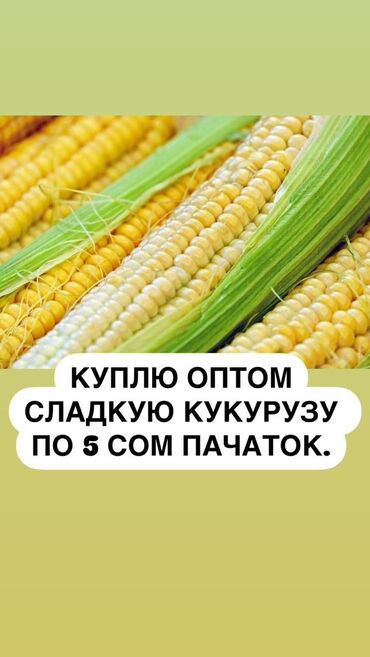 Продукты питания, компании в Карагандинской области стр. 3