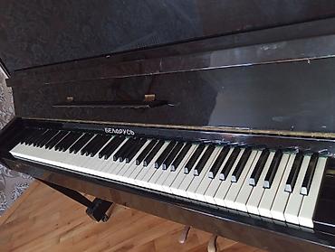 ovcular evi: Piano, Belarus, Akustik, Yeni, Ünvandan götürmə — 1