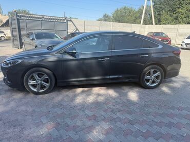 елентра хундай: Hyundai Sonata: 2020 г., 2 л, Автомат, Газ, Седан