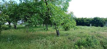 Bağ evlərinin satışı: Göyçay, 100 kv. m, 2 otaqlı, Hovuzsuz — 14