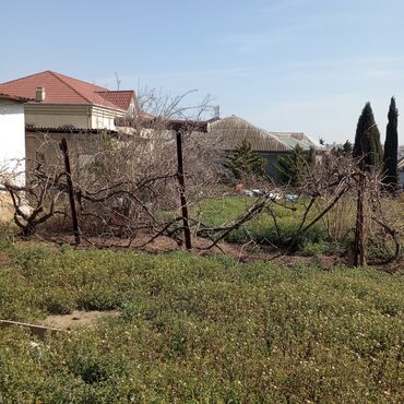 Torpaq sahələrinin satışı: 16 sot, Tikinti, Mülkiyyətçi, Kupça (Çıxarış) — 9