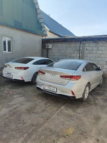 шины для нексии: Hyundai Sonata: 2018 г., 2 л, Автомат, Газ, Седан