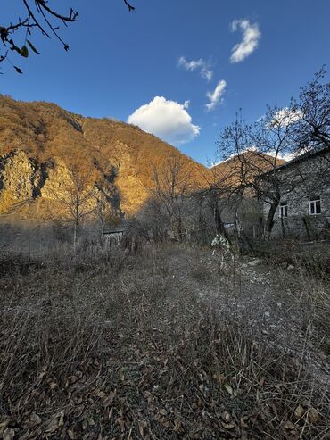 Torpaq sahələrinin satışı: 7 sot, Mülkiyyətçi, Kupça (Çıxarış)