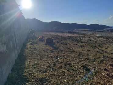 Продажа участков: 15 соток, Красная книга, Договор купли-продажи, Тех паспорт at lalafo.kg — 6 Продажа участков: 15 соток, Красная книга, Договор купли-продажи, Тех паспорт — 6