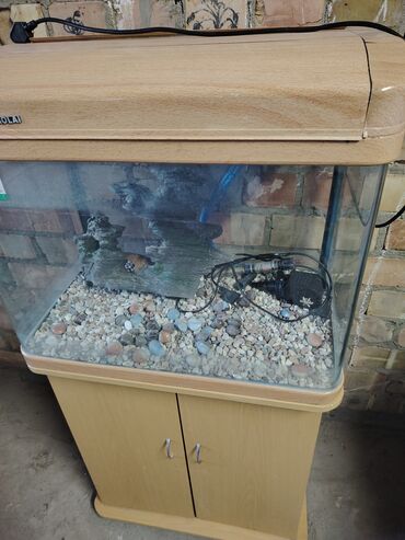 компрессор для аквариума бишкек: Аквариум 112 литров