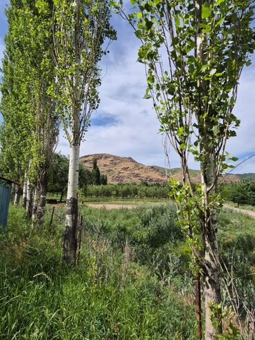 Продажа домов: Дом, 57 м², 3 комнаты, Собственник, Старый ремонт — 16