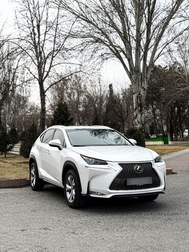 Toyota: Lexus NX: 2017 г., 2 л, Автомат, Бензин, Кроссовер