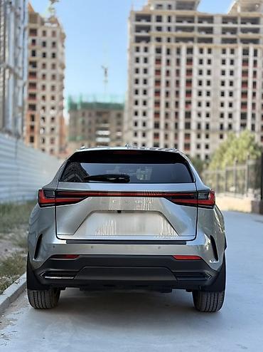 куплю на лексус: Lexus NX: 2023 г., 2.4 л, Автомат, Бензин, Кроссовер — 6