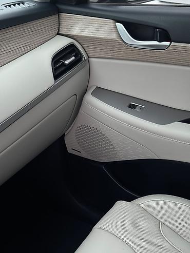 Hyundai: Hyundai Palisade: 2021 г., Кроссовер — 19
