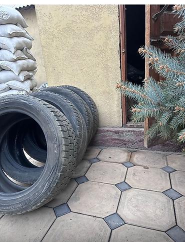 купить кун: Шины R 17.5, Зима, Б/у, Комплект, Легковые, DUNLOP — 2