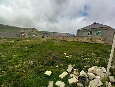 Torpaq sahələrinin satışı: 8 sot, Tikinti, Kupça (Çıxarış) — 11