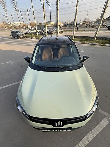 Weltmeister: Weltmeister W6, 2022 г. — 25