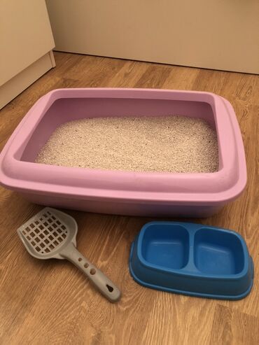 pişik qabi: Pişik qumu hardasa 3,4kilo Qum qabı Yem qabı 2 tərəfli Lapatqa+ yarım