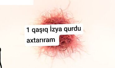 Охота и рыбалка