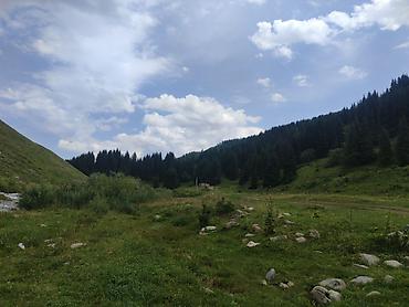 Другие автоуслуги: Принимаем заказы на бус 18 мест — 11