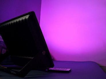 solarno drvo: RGB LED reflektori sa daljinskim IR IP65 10w, 20w,30w,50w. PROLEĆNA — 10