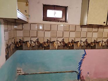 ev kiraye: 28 kv. m, 2 otaqlı, Qaz, İşıq, Su — 4
