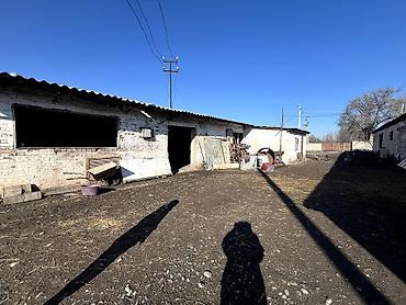 ΠΡΠΎΠ΄Π°ΠΆΠ° ΠΊΠΎΡΡΠ΅Π΄ΠΆΠ΅ΠΉ ΠΈ Π΄ΠΎΠΌΠΎΠ²: πΠ ΡΠ΅Π»Π΅ ΠΠ΅ΡΡΠΎΠ²ΠΊΠ° ΠΏΡΠΎΠ΄Π°Π΅ΡΡΡ Π΄ΠΎΠΌ ΠΈΠ· Π΄Π²ΡΡ
ΠΊΠΎΠΌΠ½Π°Ρ ΡΠΎ ΡΠΊΠ»Π°Π΄ΡΠΊΠΈΠΌ ΠΏΠΎΠΌΠ΅ΡΠ΅Π½ΠΈΠ΅ΠΌ at lalafo.kg β 6 ΠΡΠΎΠ΄Π°ΠΆΠ° ΠΊΠΎΡΡΠ΅Π΄ΠΆΠ΅ΠΉ ΠΈ Π΄ΠΎΠΌΠΎΠ²: πΠ ΡΠ΅Π»Π΅ ΠΠ΅ΡΡΠΎΠ²ΠΊΠ° ΠΏΡΠΎΠ΄Π°Π΅ΡΡΡ Π΄ΠΎΠΌ ΠΈΠ· Π΄Π²ΡΡ
ΠΊΠΎΠΌΠ½Π°Ρ ΡΠΎ ΡΠΊΠ»Π°Π΄ΡΠΊΠΈΠΌ ΠΏΠΎΠΌΠ΅ΡΠ΅Π½ΠΈΠ΅ΠΌ β 6