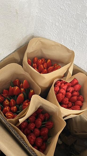 Букеты из живых цветов: Здравствуйте! 🌷 У вас есть прекрасная возможность заказать тюльпаны к — 5