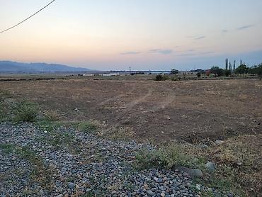 razinde torpaq satilir: 24 sot, Kənd təsərrüfatı, Mülkiyyətçi, Kupça (Çıxarış) — 3