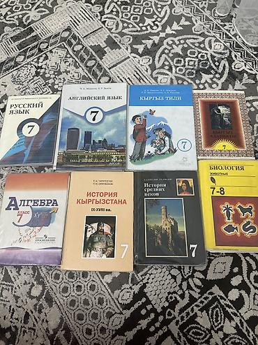 Книги и журналы: Русский язык, 7 класс, Б/у — 4